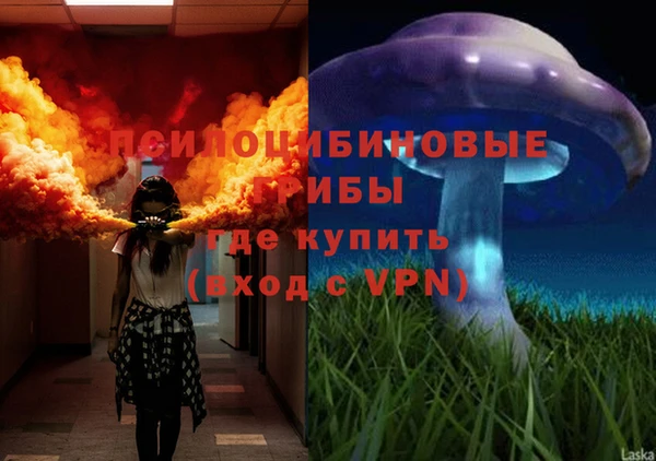мет Балахна