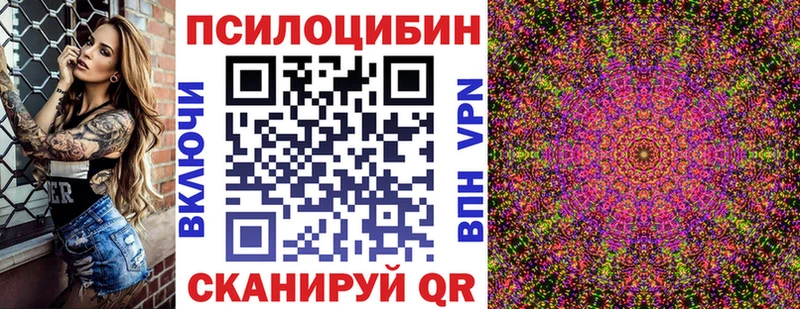 как найти наркотики  гидра маркетплейс  Псилоцибиновые грибы MAGIC MUSHROOMS  Волосово 